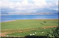 Croft land, Inverasdale