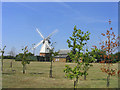 TQ6381 : Orsett Windmill, Bakers Lane, Orsett, Essex by John Winfield