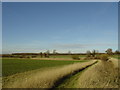 View of fields on the edge of Meesden