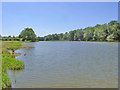 Belvoir Lower Lake