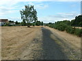 Castleman Trailway, West Moors