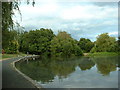 SU3816 : Pond off Baker's Drove, Rownhams, Southampton by GaryReggae