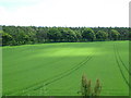 Farmland South of Pitbee