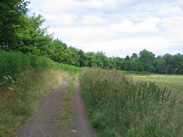 Farm track, Rosewell