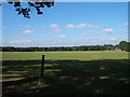 Playing Fields, Putney Vale