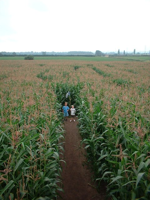 Red House Farm, The Maize Maze