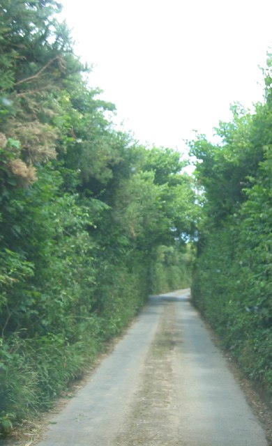 A Devon Lane