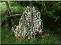 Gatepost, Cwm Tynant