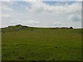 SX1380 : Logan Rock, Louden Hill, Bodmin Moor, Cornwall by Pete Chapman