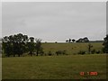 Rough pasture land near Henllan