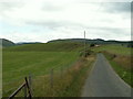 Pasture, near Llety-Ifan Hen