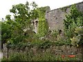 Folly walls at Gwrych