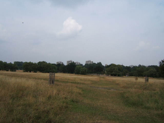 Richmond Park near the Beverley Brook