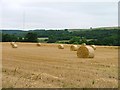 Straw Bales