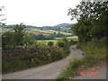 Country lane at Dyserth