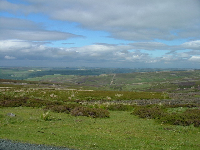 Grinton Moor © Robin Hall :: Geograph Britain and Ireland