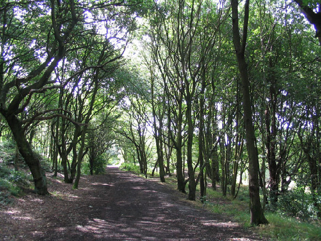 Howden Clough © Mick Melvin :: Geograph Britain and Ireland