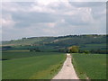 Hog Hall Lane near Dagnall