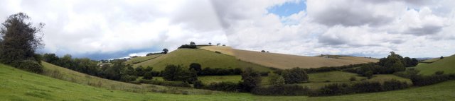 Farmland between Thorverton and Bowley