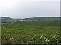 Claim Farm near Delamere Forest