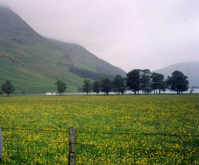 Buttermere Early summer