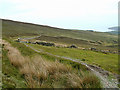 SC4387 : Footpath on Slieau Ruy - Isle of Man by Jon Wornham