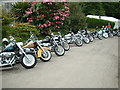 Harley-Davidsons