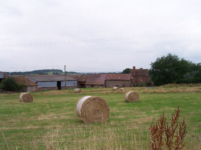 Toney's Farm