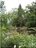 SE2685 : Thorp Perrow Arboretum by Alison Stamp