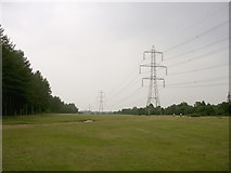 SU4006 : Power lines between the Dibden Inclosure and the Hythe by-pass, New Forest by Jim Champion