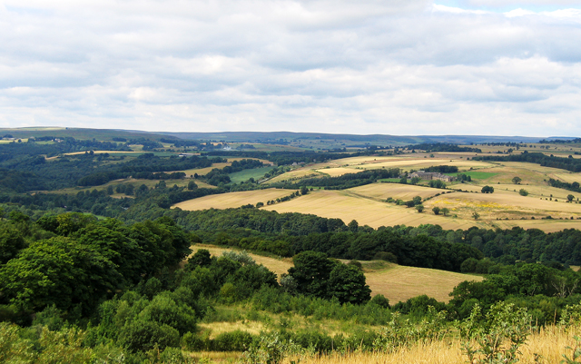 Derwent Valley ( Northumberland/Durham) © Dennis Lovett cc-by-sa/2.0 ...