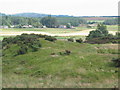 Looking across Leuchar Moss