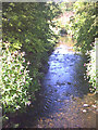 Hogsmill River, north from footbridge.