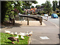 Pond in Walkington