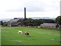 Old Town Mill and Cricket Club