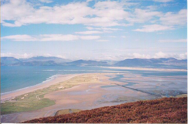 Rossbehy