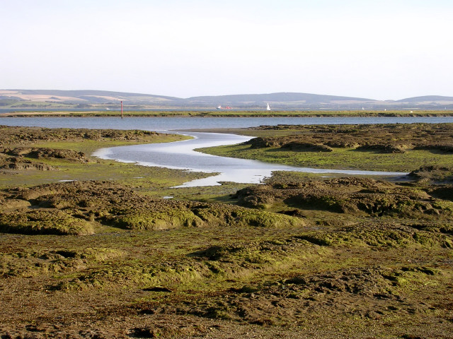 Tidal mudflats near Inchmery House,... © Jim Champion :: Geograph ...