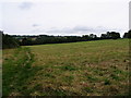 Field and hills from Little Herberts, Charlton Kings