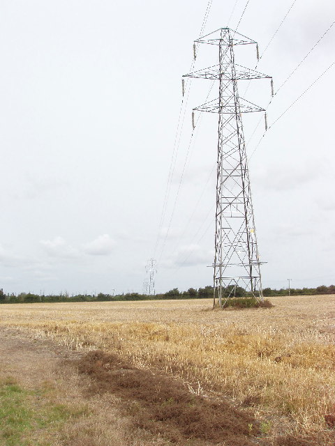 Pylons cross a corn field, by Longwick