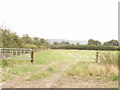 Ilmer - view across pasture and up to the scarp of the Chiltern Hills