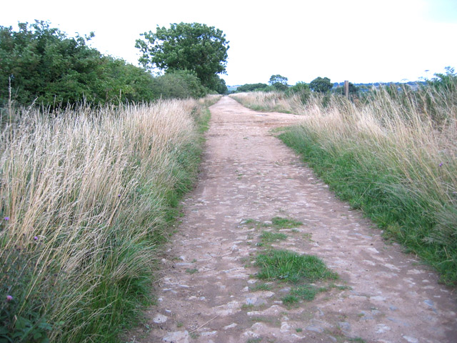 Toft's Lane, near Eaton, Leicestershire