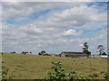 Westbrook Farm and cattle, near Thame