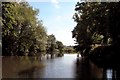 River Avon, near Somerdale