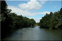 ST6966 : river Avon near Corston by Martyn Pattison