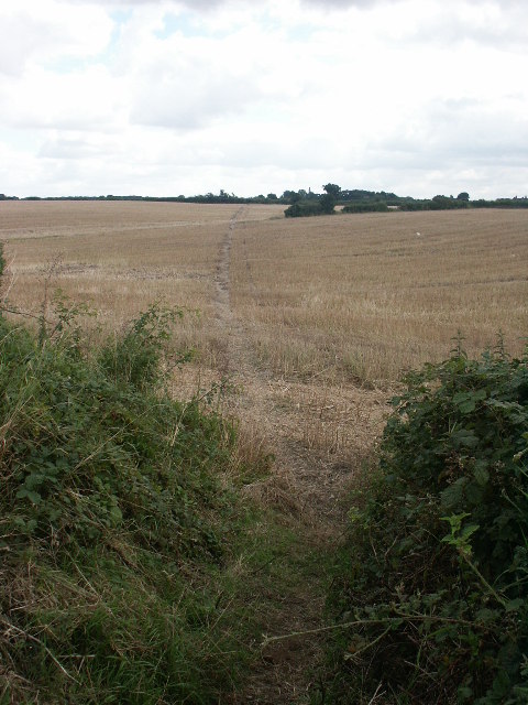 Footpath and fields, Rackheath