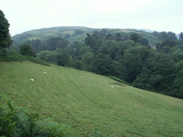 Pasture, Cwm Rhaiadr
