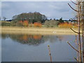 The Lake, Hirsel Estate, Coldstream