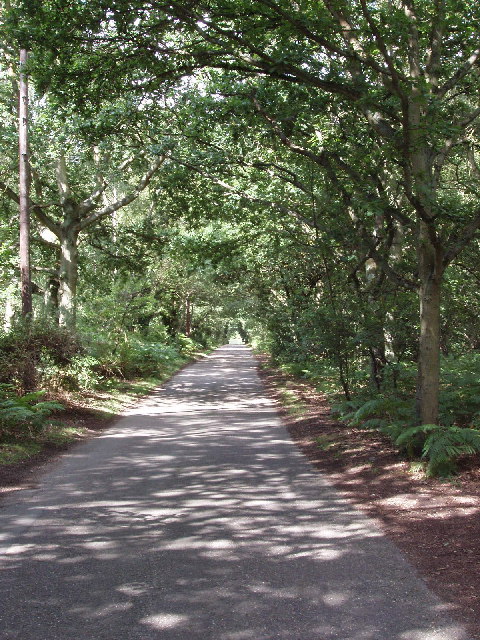 Road through Littleworth Common