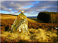 NN8451 : Cup-Marked monolith, Boltachan, Glassie, Strathay by paddy heron