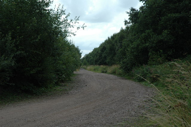 Track through Moore Nature Reserve
